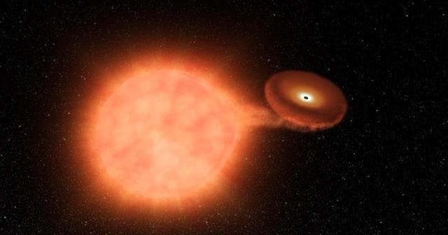 Kepler Beyond Planets: Finding Exploding Stars (Type Ia Supernova from a White Dwarf Stealing Matter)