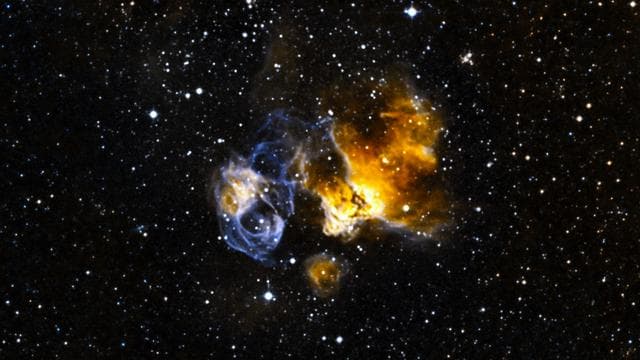 Hardy Star Survives Supernova Blast